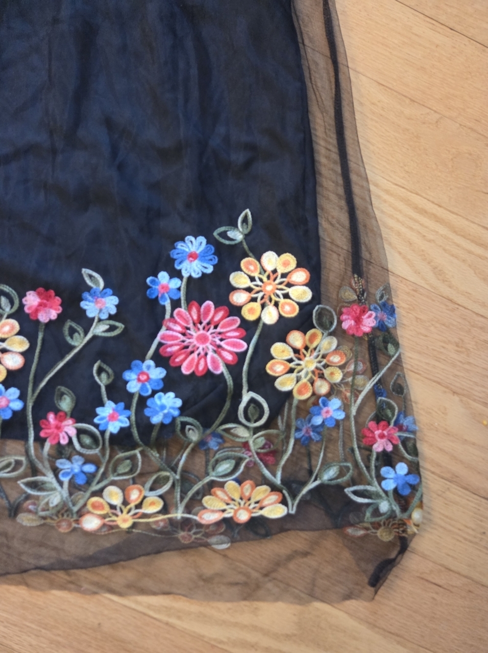 Black Sheer Sleeveless Slip Dress with Multi-Color Floral Embroidery - Picture 2 of 5